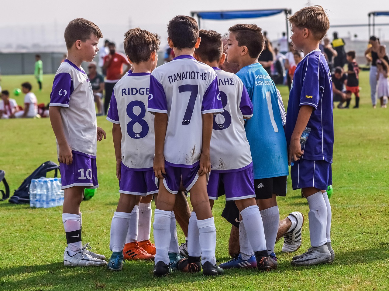 Peel百乐红茶双爆珠（细）：手绘历史大画卷购买平台